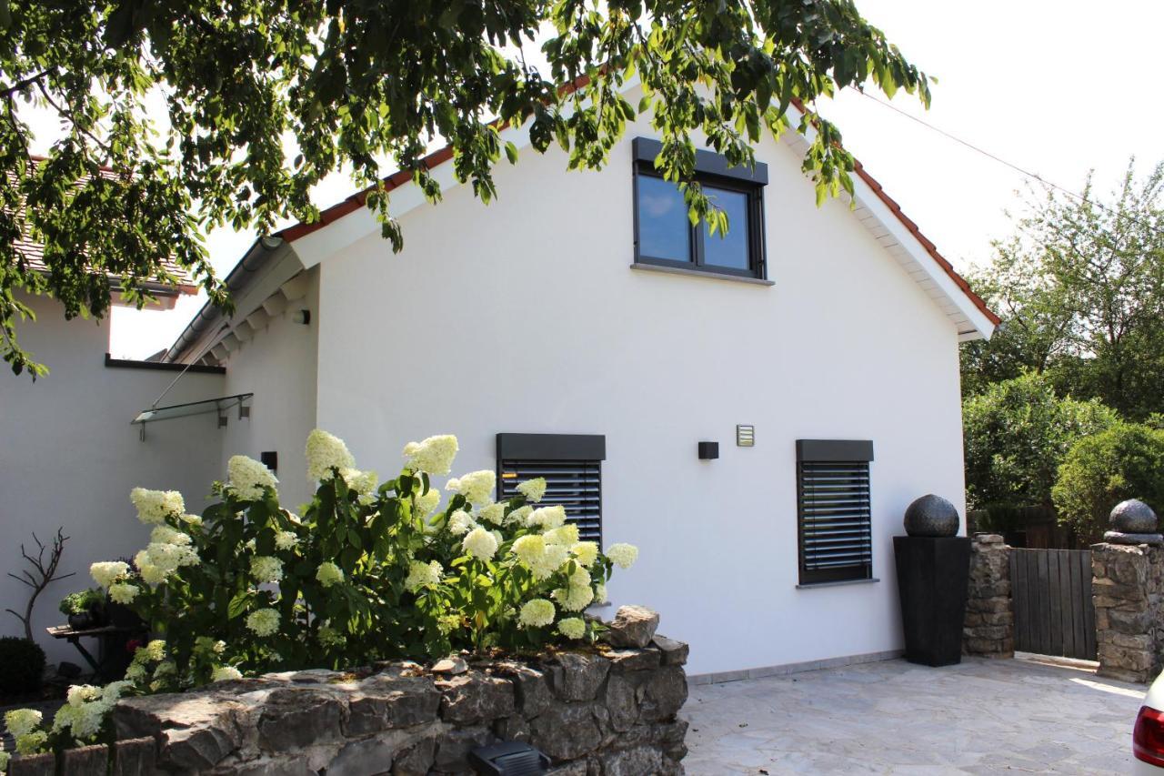 Colle Divino Apartment เวิร์ซบวร์ก ภายนอก รูปภาพ
